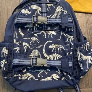 Dinosaur Backpack